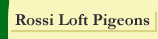 Rossi Loft Pigeons